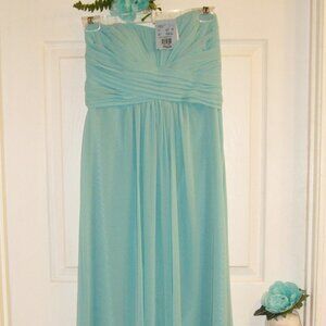 DAVID'S BRIDAL Sz 4 NWT Strapless Aqua Chiffon with Pleats Long Dress Gown Prom